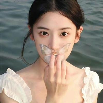 自由鸟