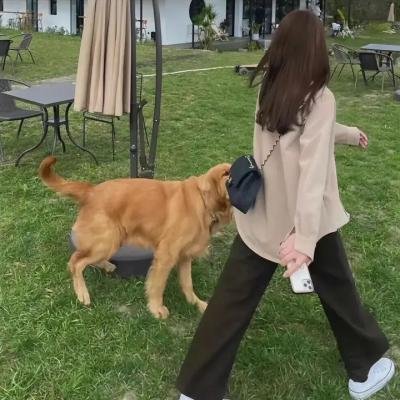钢铁之心